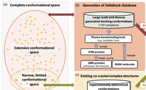 拓领博泰与百度合作基于大模型开发创新药物，成果显著